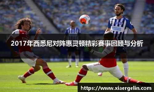 2017年西悉尼对阵惠灵顿精彩赛事回顾与分析