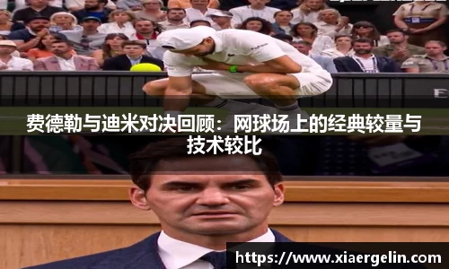 费德勒与迪米对决回顾：网球场上的经典较量与技术较比